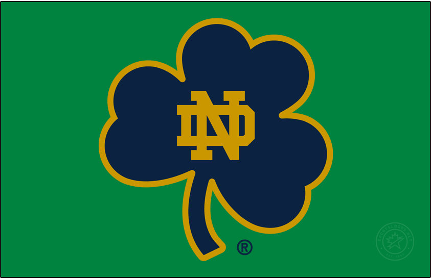 Notre Dame Fighting Irish 2015-Pres Secondary Logo v5 iron on transfers for T-shirts